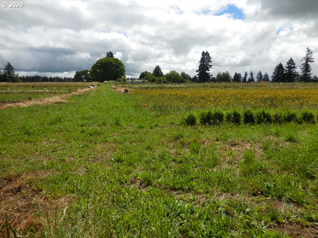 17993 South Strowbridge Road Oregon City, OR 97045 - Photo 27 of 31