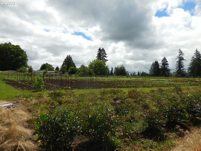 17993 South Strowbridge Road Oregon City, OR 97045 - Photo 28 of 31