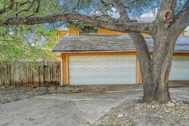 a view of a backyard with a tree