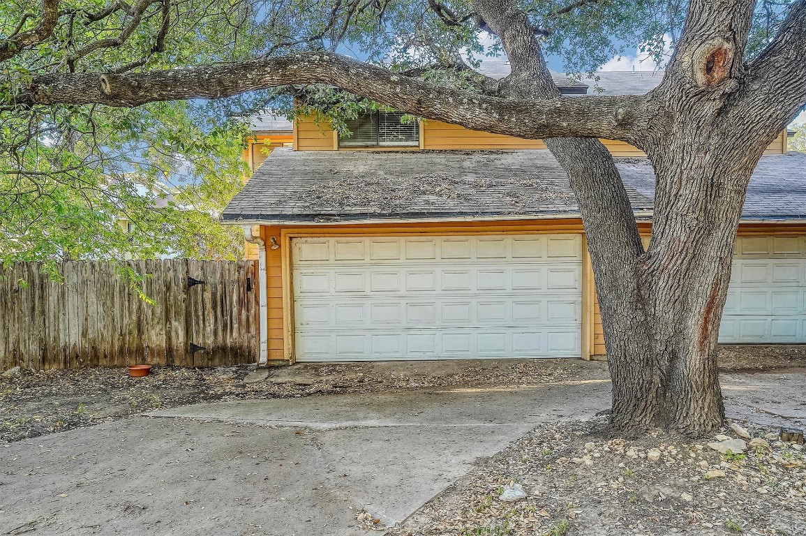 a view of a backyard with a tree