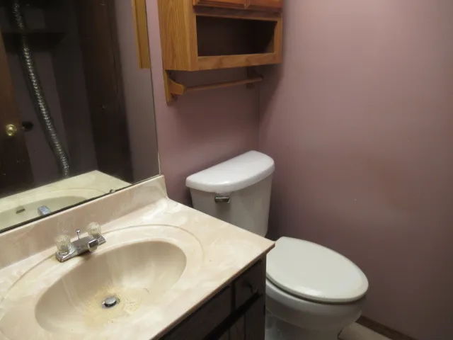 a bathroom with a sink a toilet and mirror