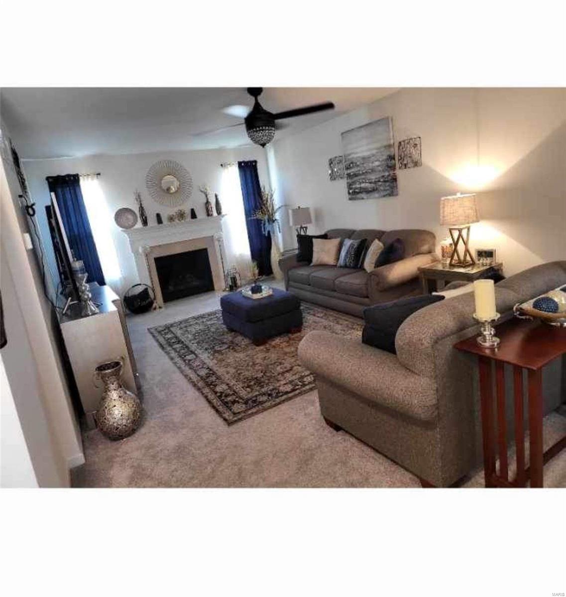 216 Longridge Circle Belleville, IL 62221 - Photo 3 of 28