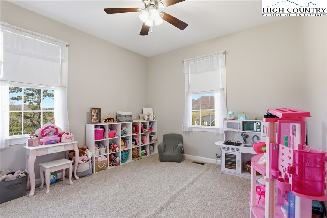 362 Mountain Shadows Drive Purlear, NC 28665 - Photo 6 of 29
