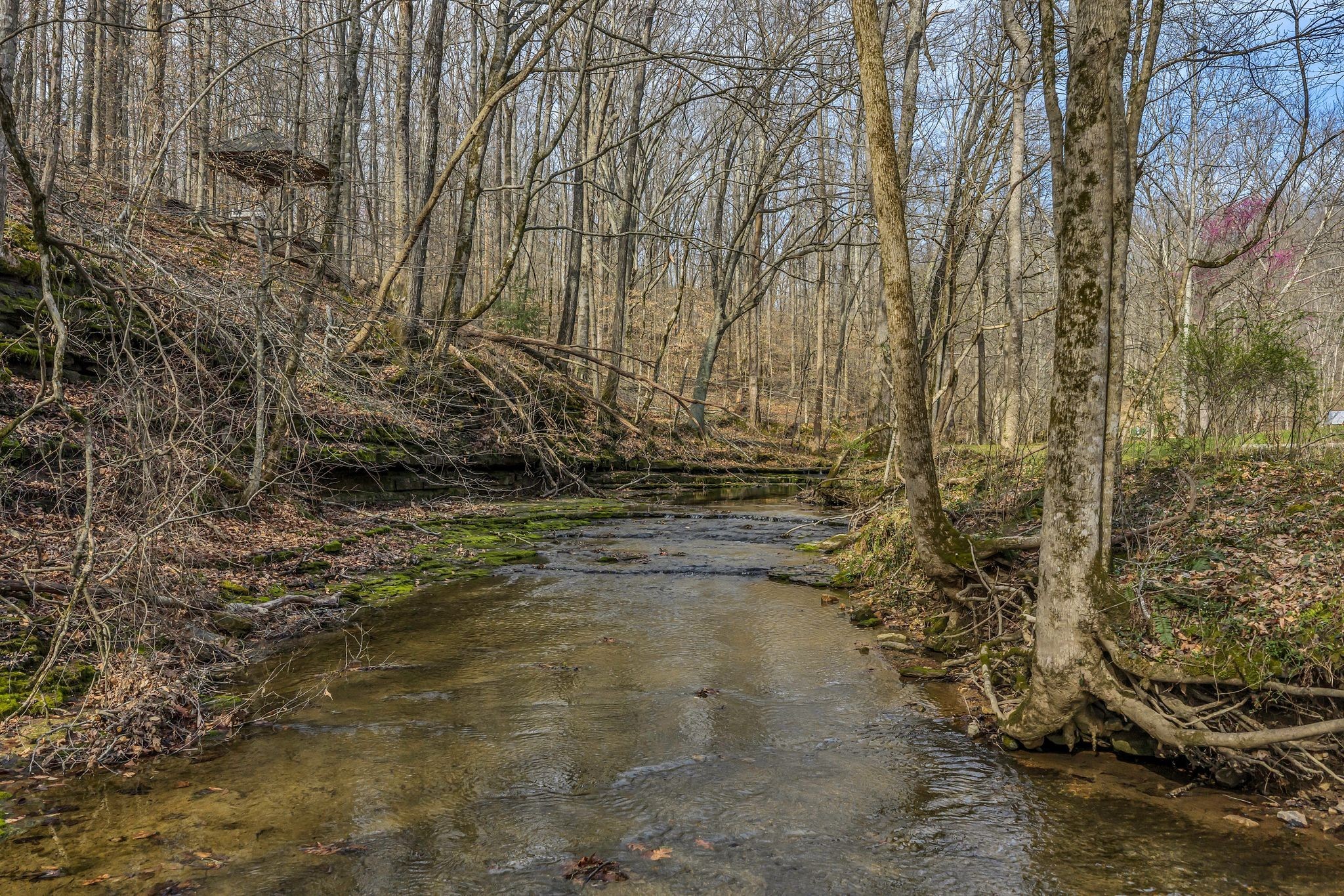 7575 King Road Fairview, TN 37062 - Photo 3 of 68