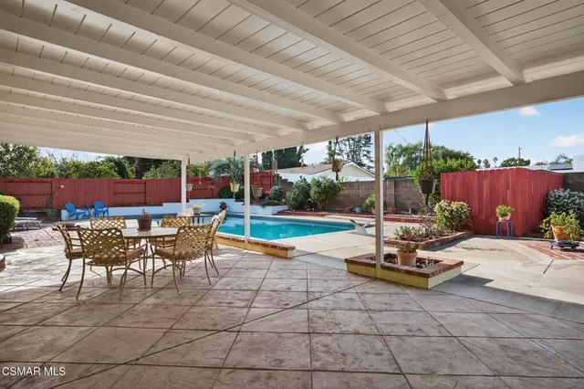 a view of a backyard with plants and a tree