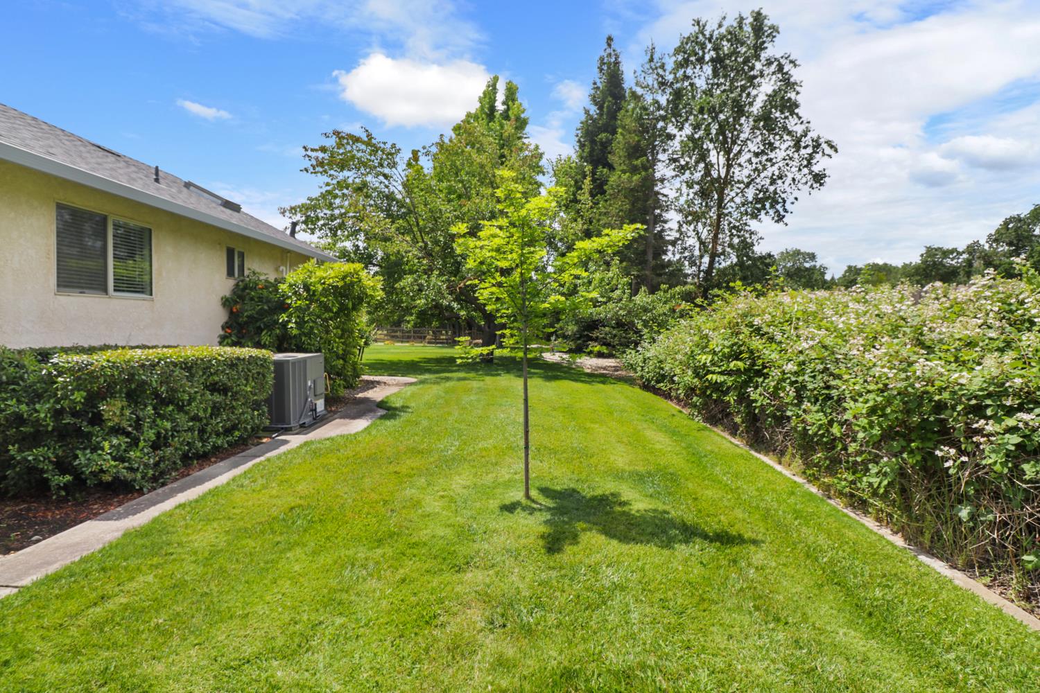 10576 Sheldon Road Elk Grove, CA 95624 - Photo 58 of 74