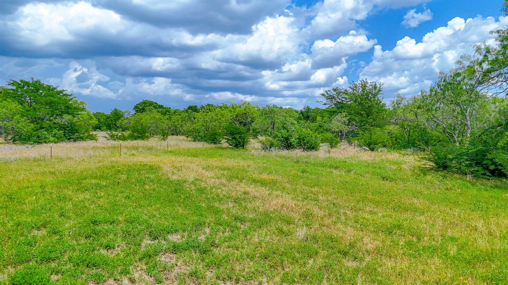 Lot 123 Palmito Ranch Road Corsicana, TX 75110 - Photo 17 of 23 a view of a garden