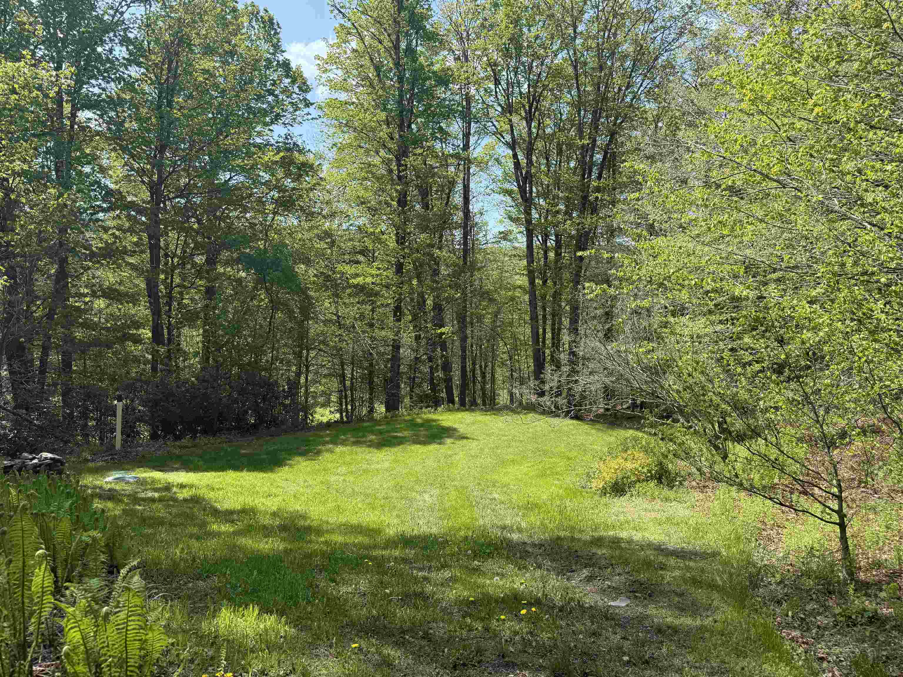 800 Hubbard Hill Road Halifax, VT 05342 - Photo 11 of 55