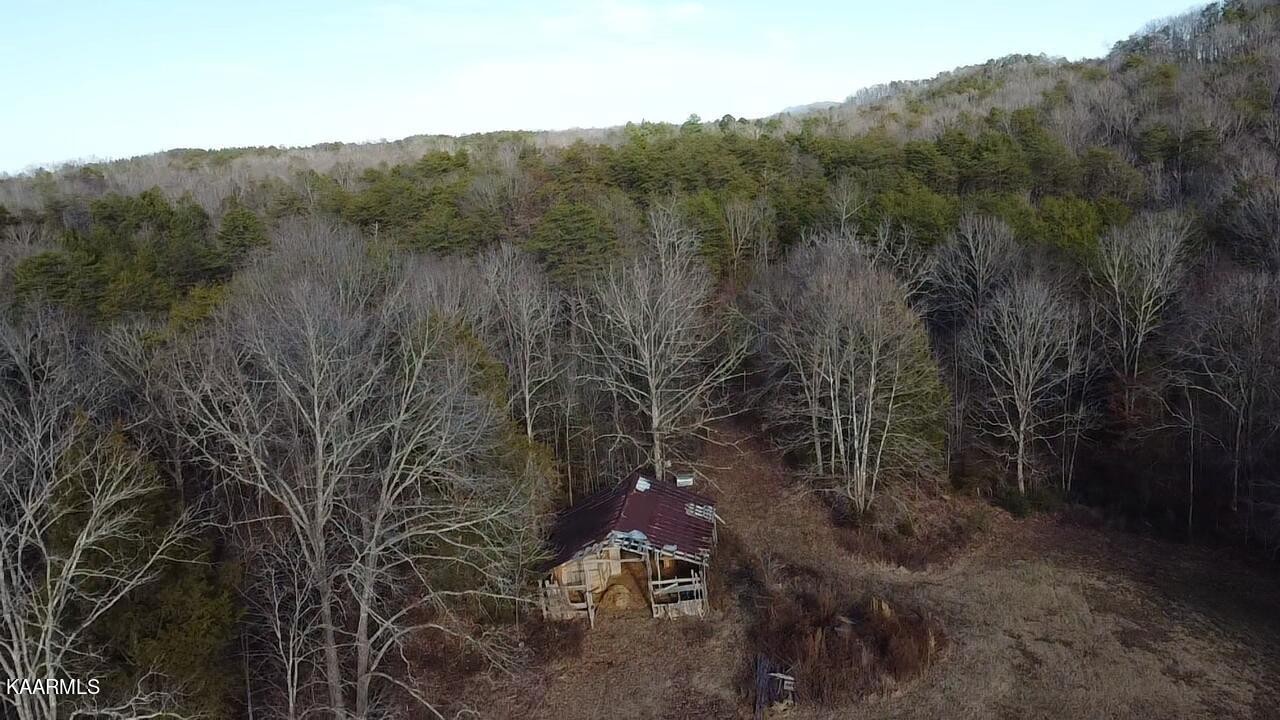 0 Citico Road Vonore, TN 37885 - Photo 11 of 17