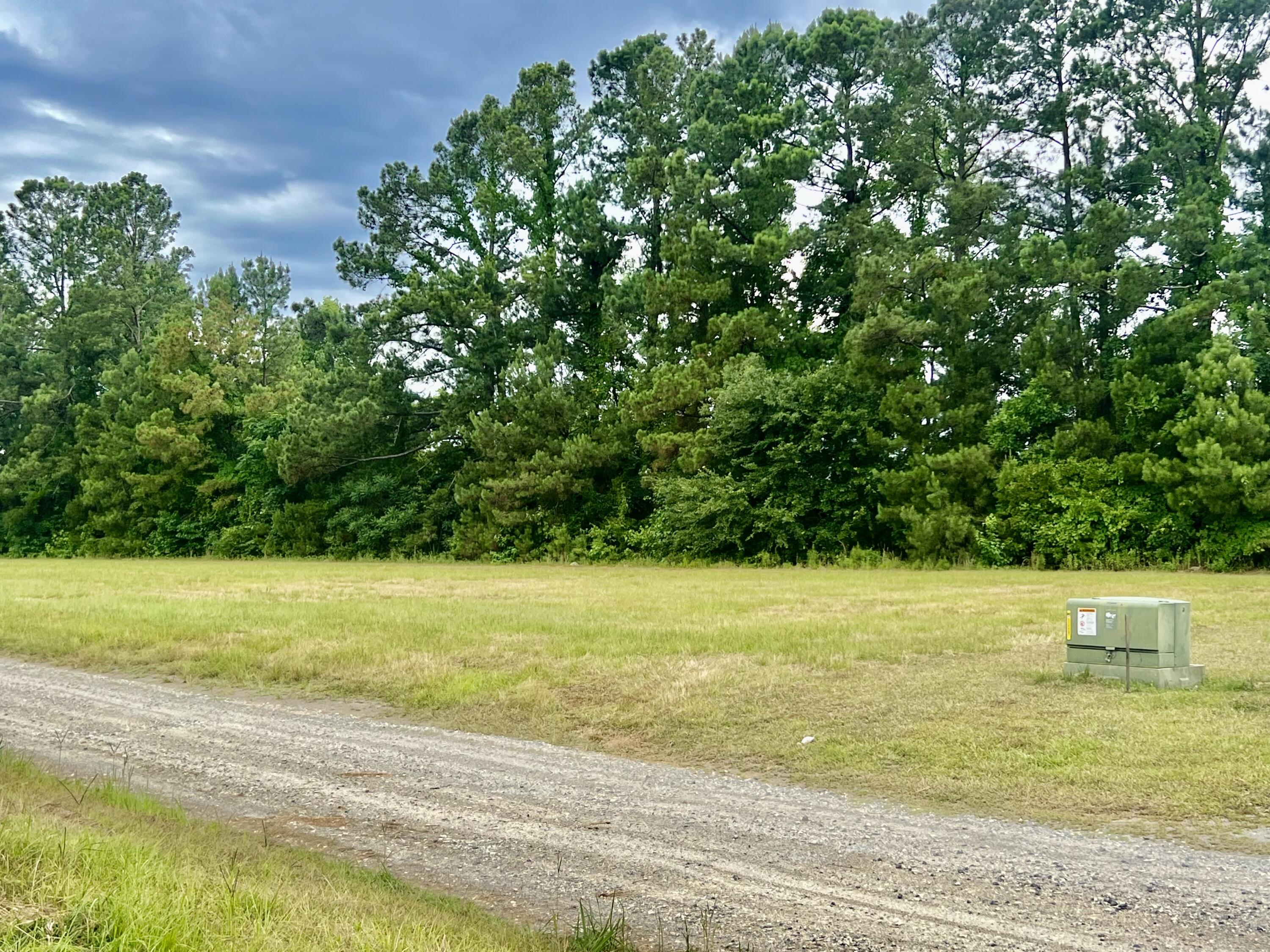 1056 Witherbee Road Moncks Corner, SC 29461 - Photo 6 of 22 IMG_5923