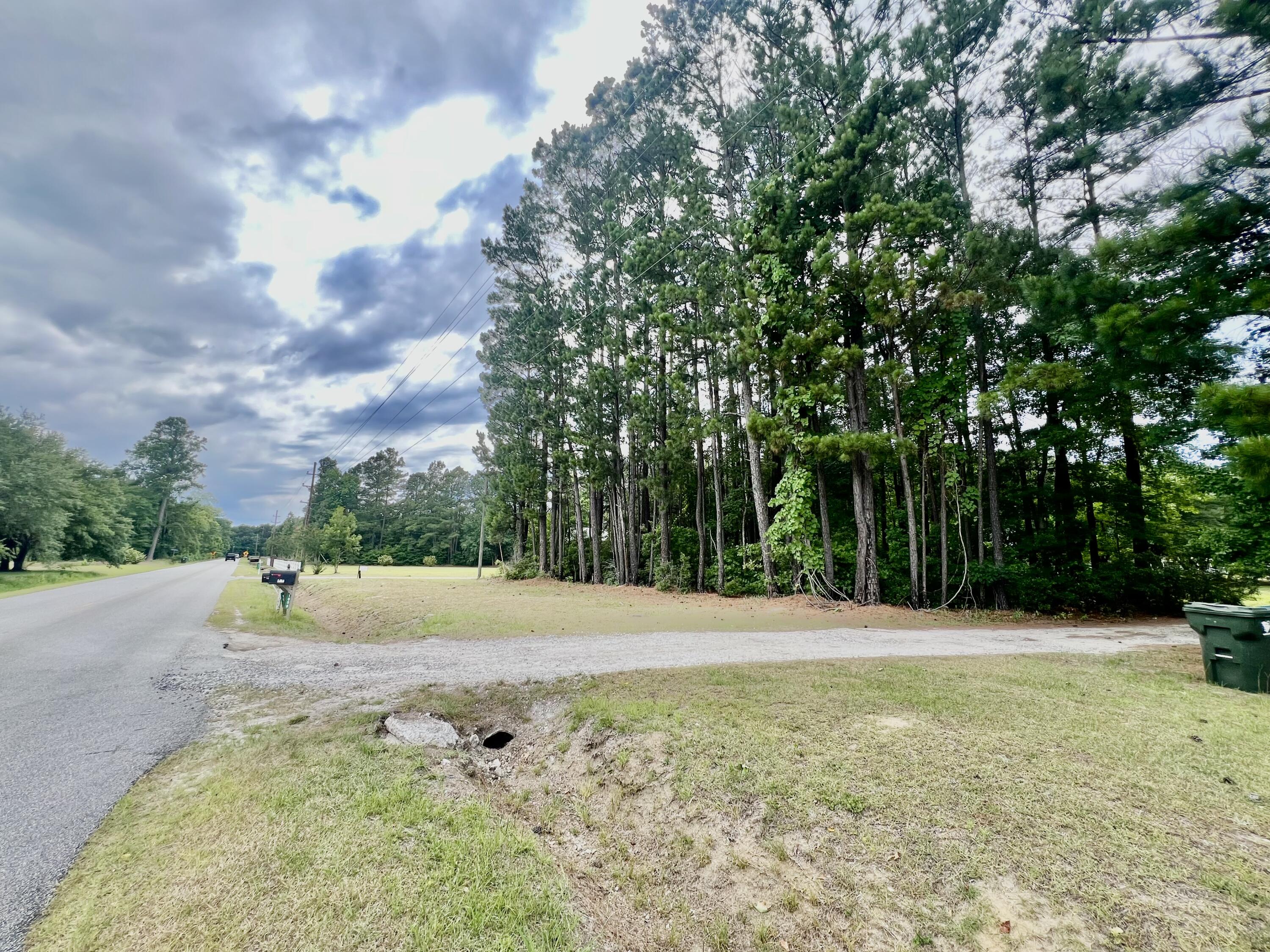 1056 Witherbee Road Moncks Corner, SC 29461 - Photo 9 of 22 IMG_5939