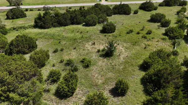 a view of a garden with a house