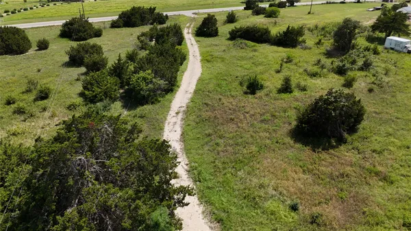 a view of a garden with a tree