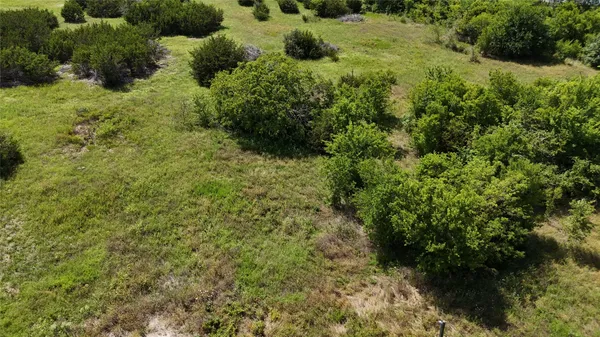 a view of a garden with plants