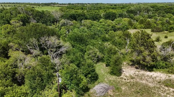 a view of a forest with a building