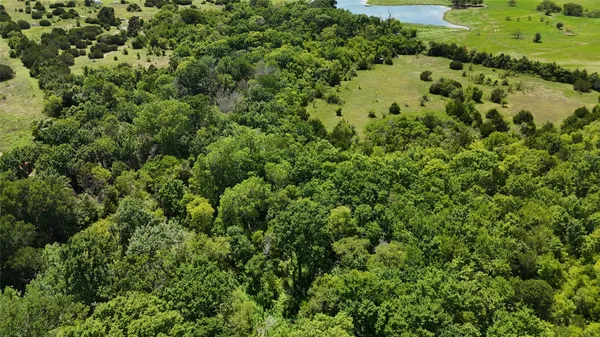 view of a forest with a houses