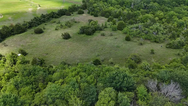 a view of a lush green forest with lots of trees