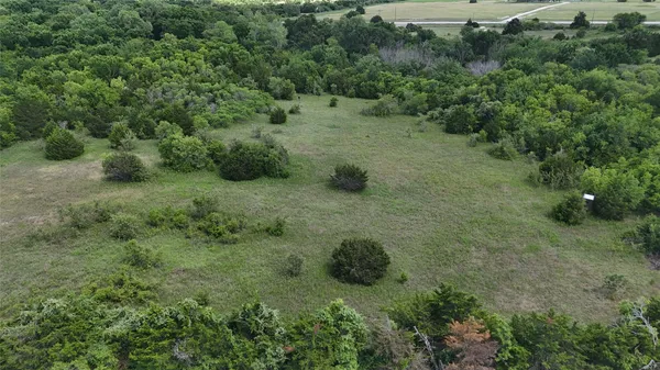 a view of a lush green forest with lots of trees