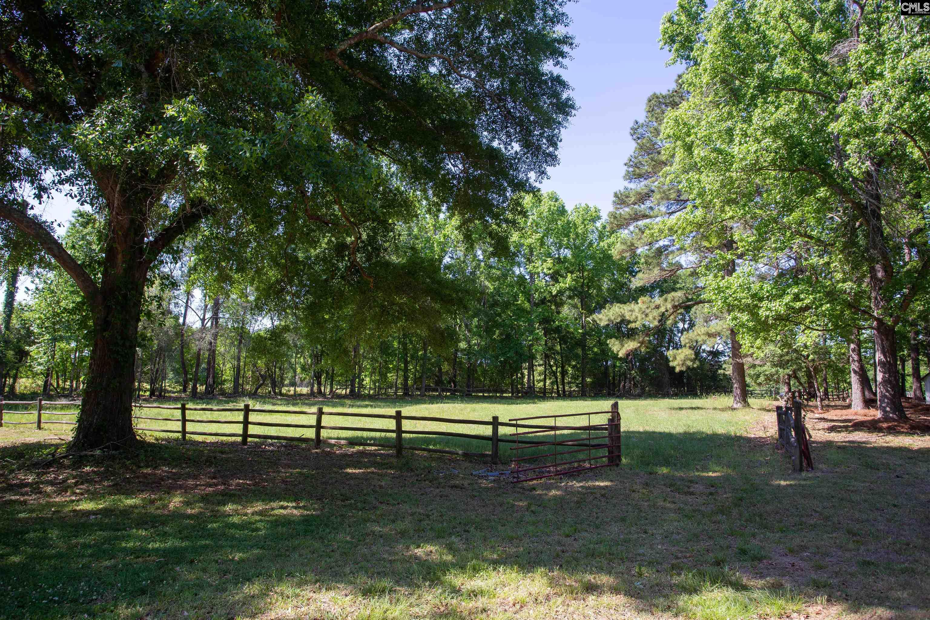 481 Cantey Lane Rembert, SC 29128 - Photo 70 of 76