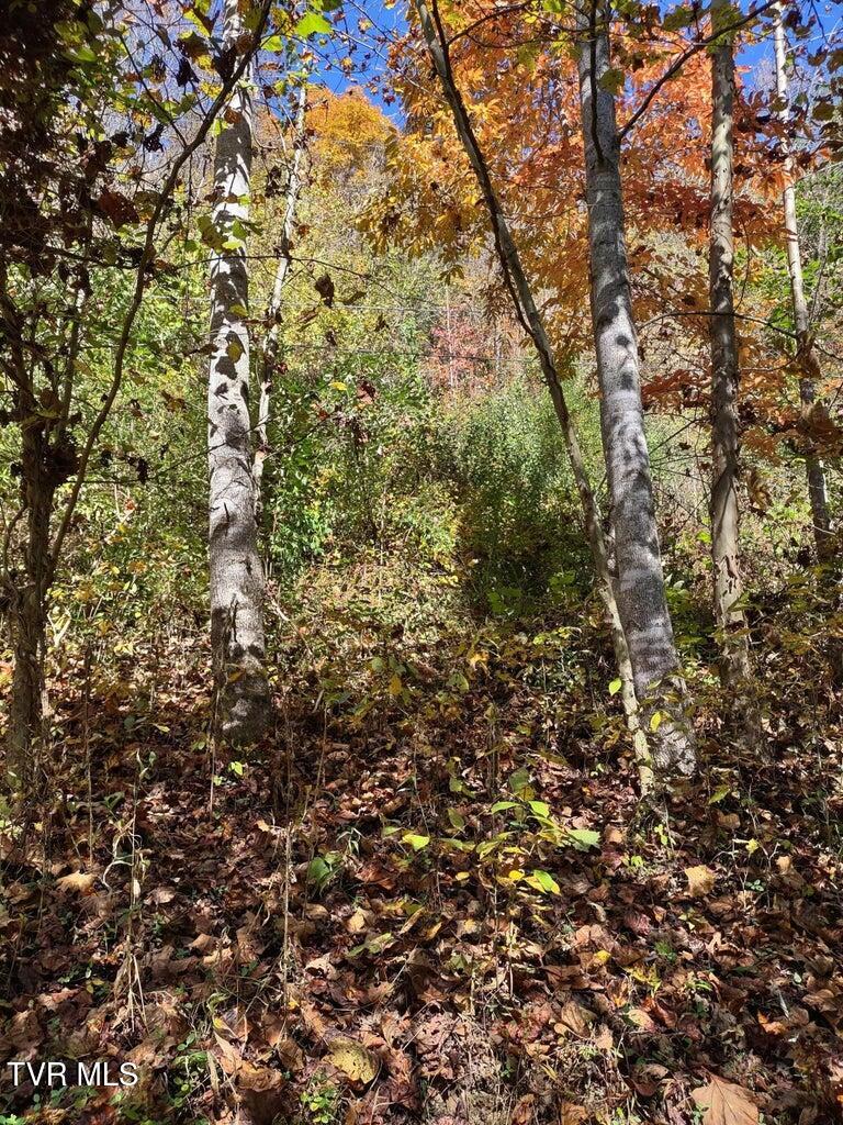 Tbd North Fork River Road, Unit 3 Abingdon, VA 24210 - Photo 12 of 34 *