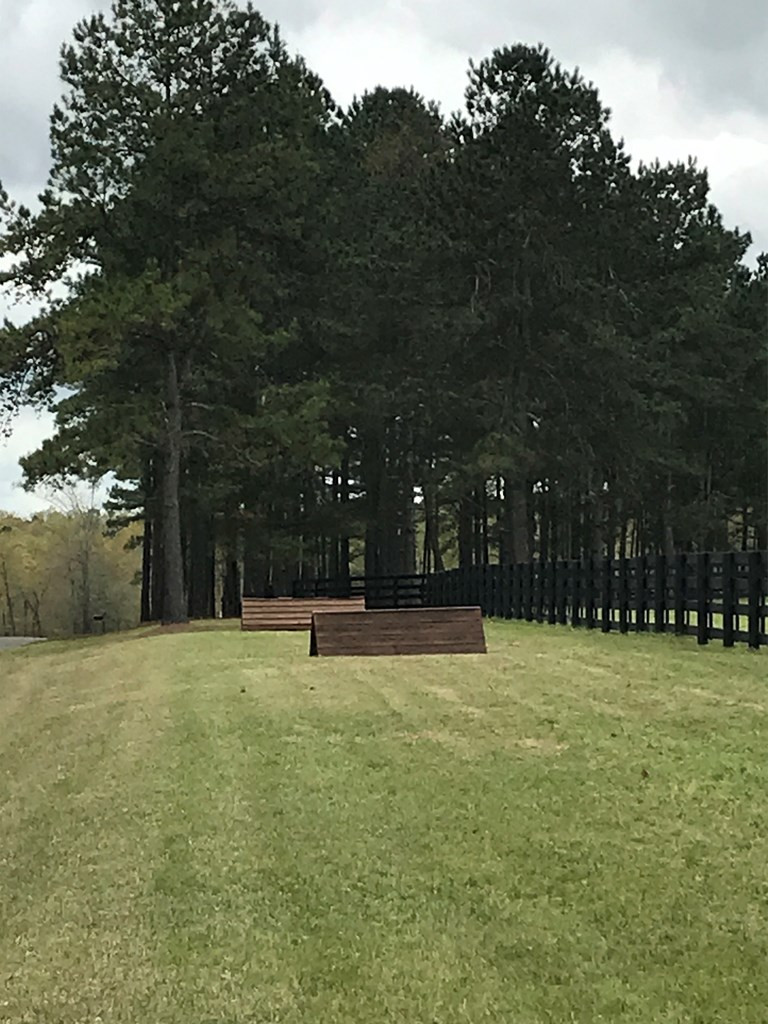 Lot 5 Rocking Horse Lane Aiken, SC 29801 - Photo 10 of 12