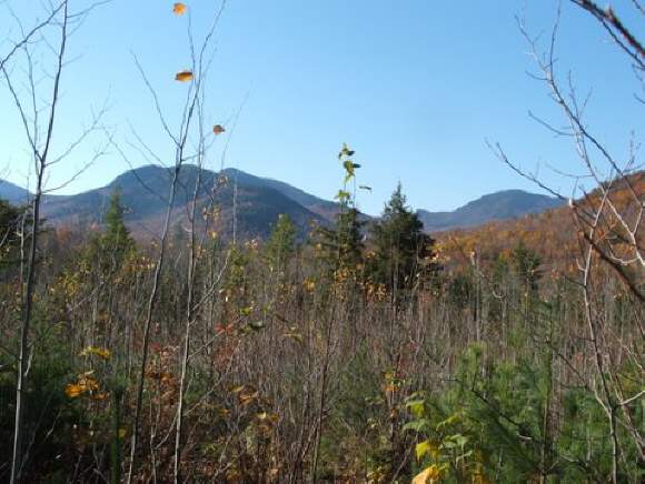 40 Stanton Farm Road Bartlett, NH 03838 - Photo 1 of 1