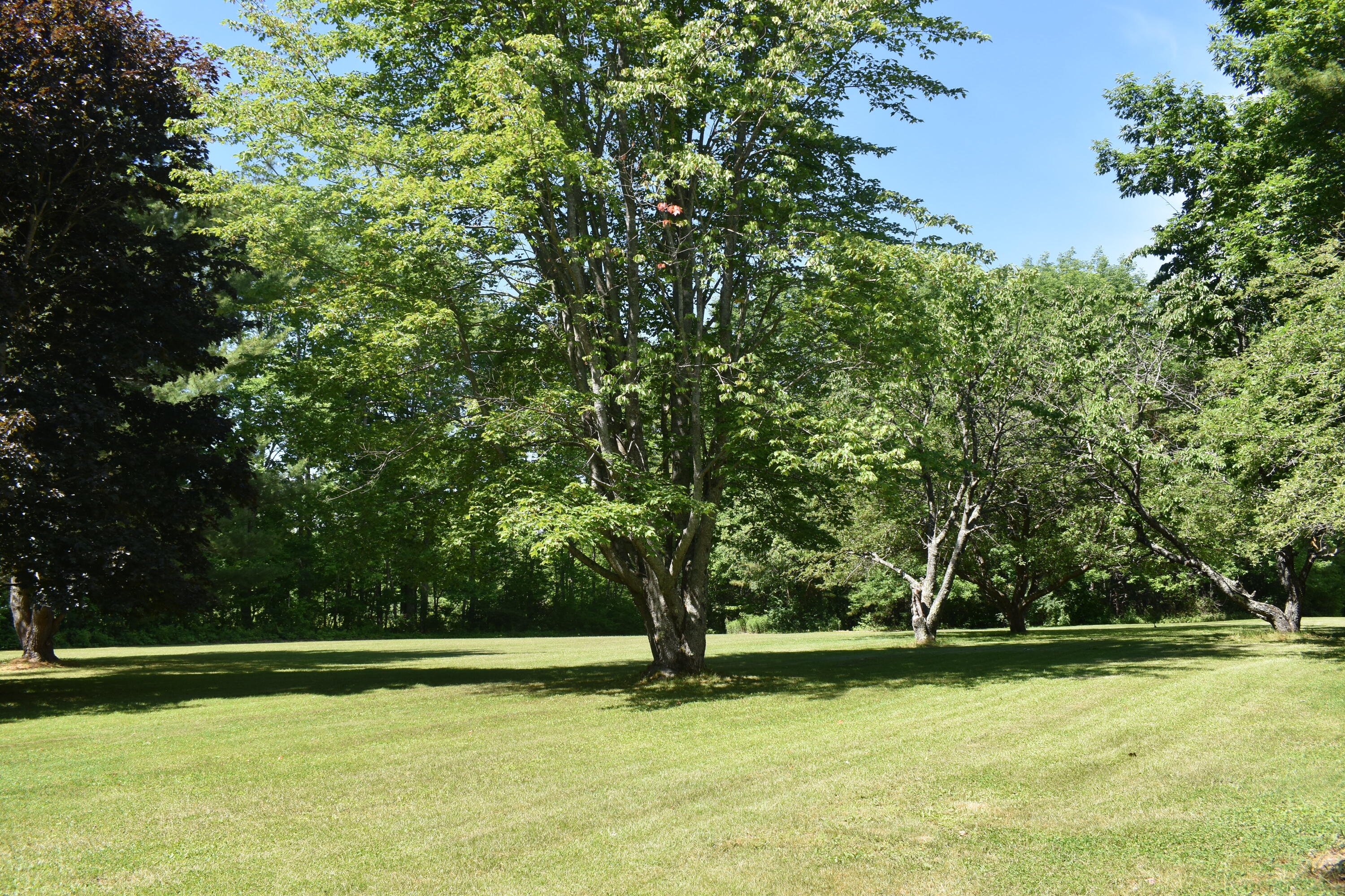 319 Stanley Road Winthrop, ME 04364 - Photo 33 of 41 DSC_0908