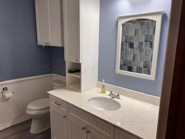 a bathroom with a sink toilet and vanity