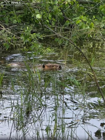 $725,000 | 18461 Highway 115, Penrose, CO 81240