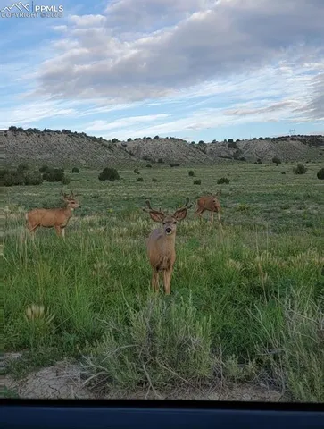$725,000 | 18461 Highway 115, Penrose, CO 81240