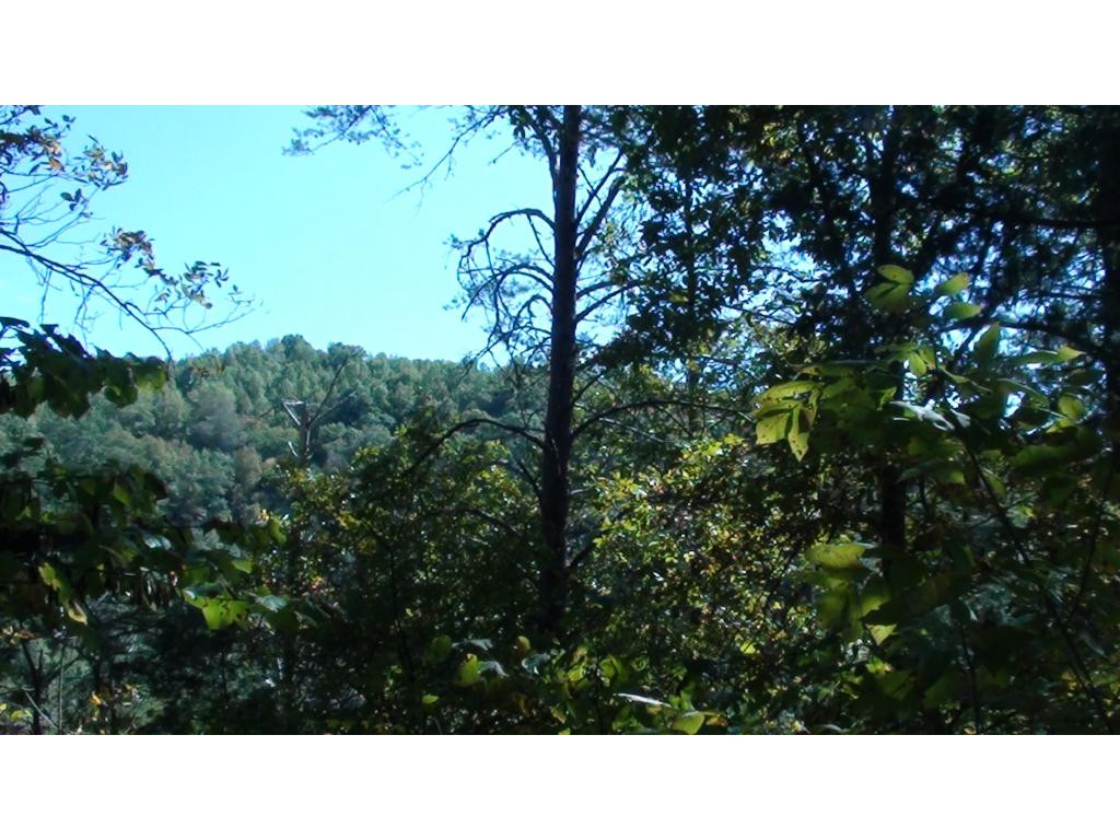 0 Chestnut Ridge Road Eidson, TN 37731 - Photo 3 of 6 Photo 3