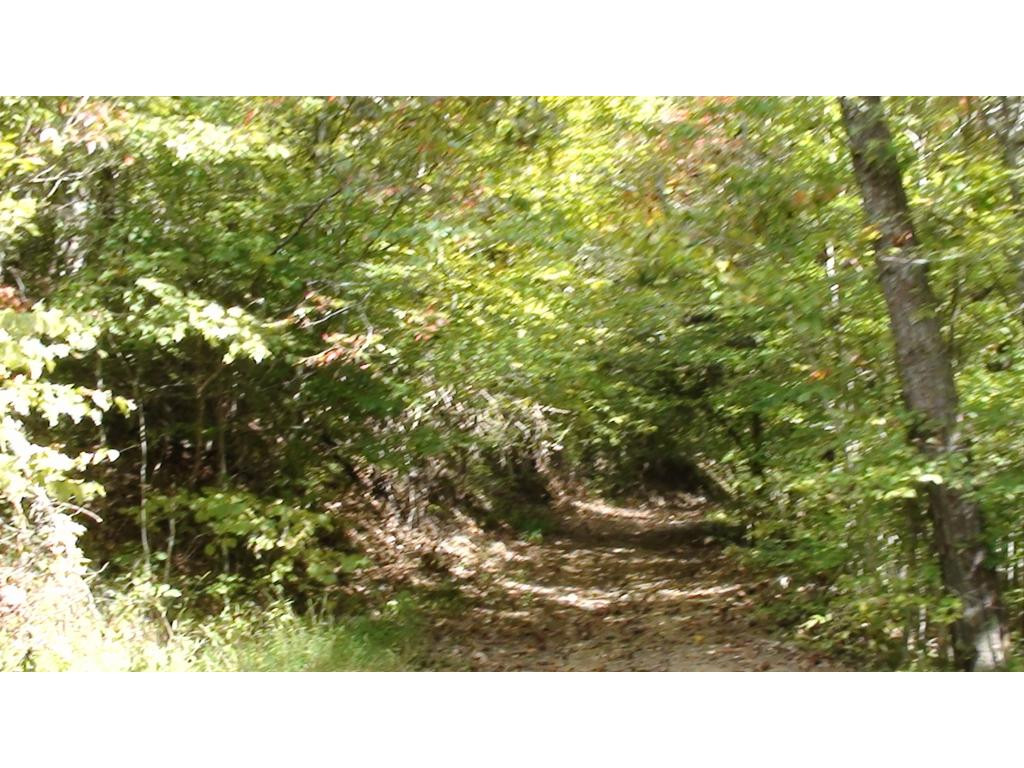 0 Chestnut Ridge Road Eidson, TN 37731 - Photo 6 of 6 Photo 6