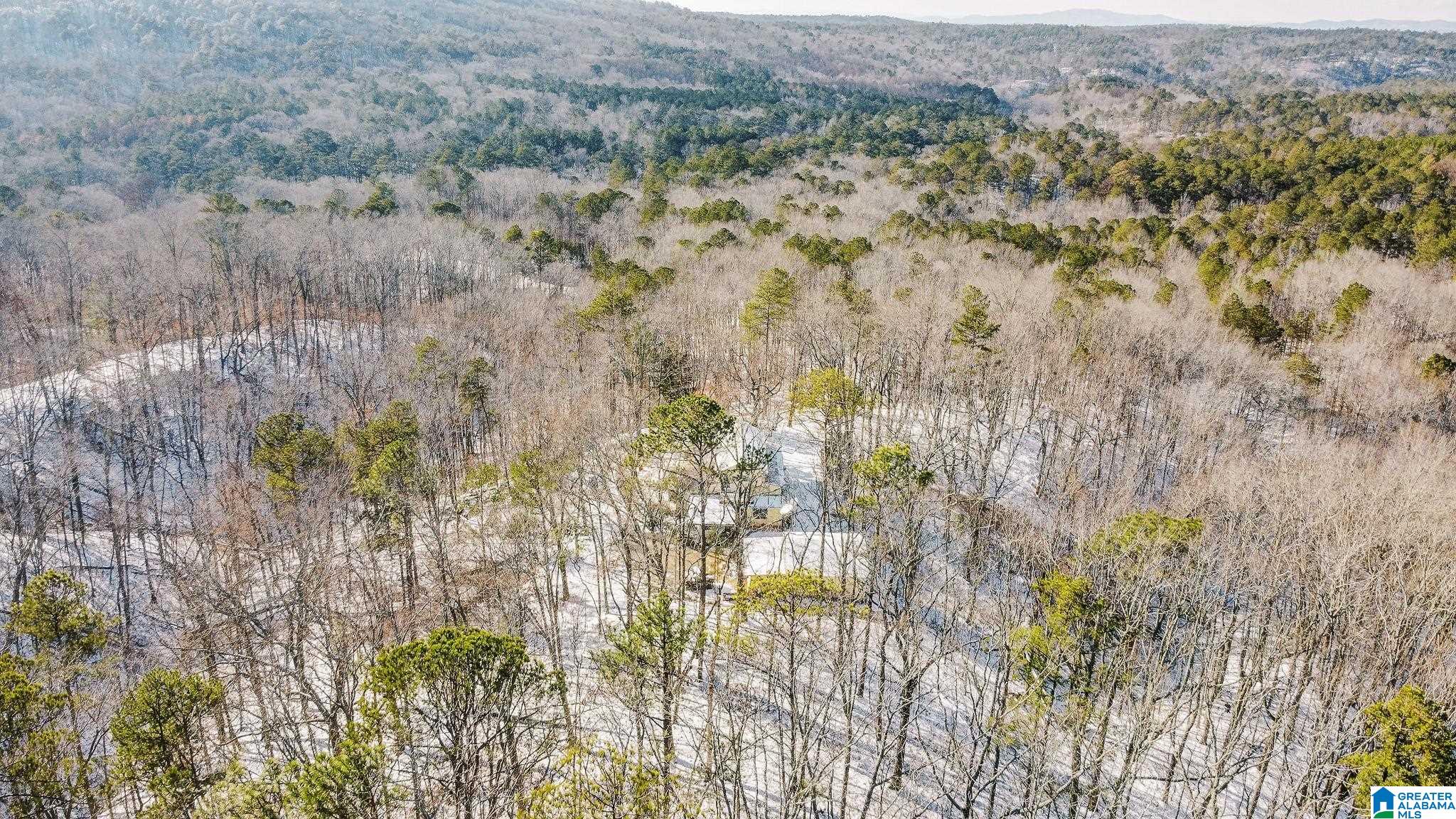 5325 Union T Road Talladega, AL 35160 - Photo 82 of 83