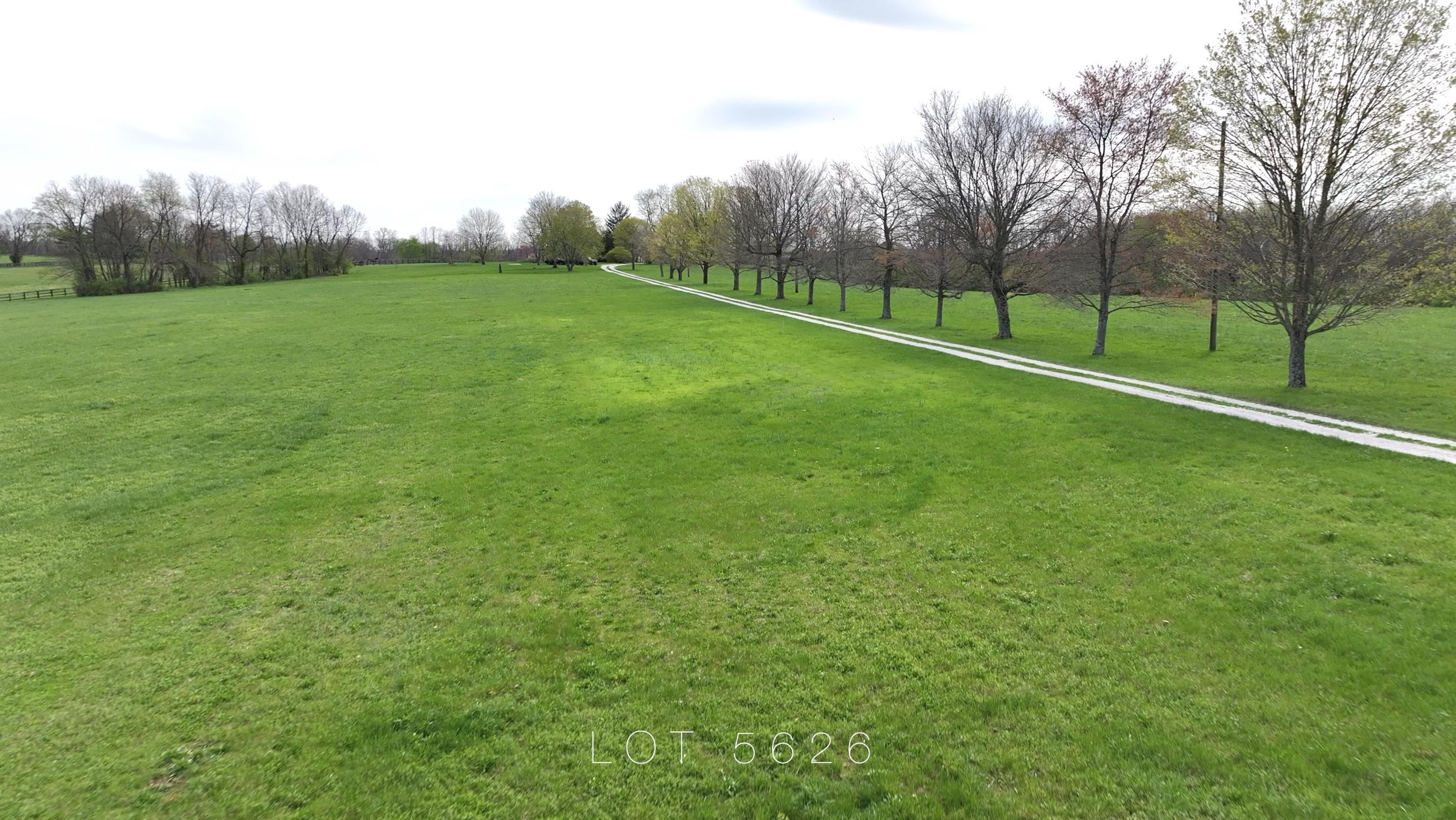 5626 McCowans Ferry Road Versailles, KY 40383 - Photo 6 of 9 6