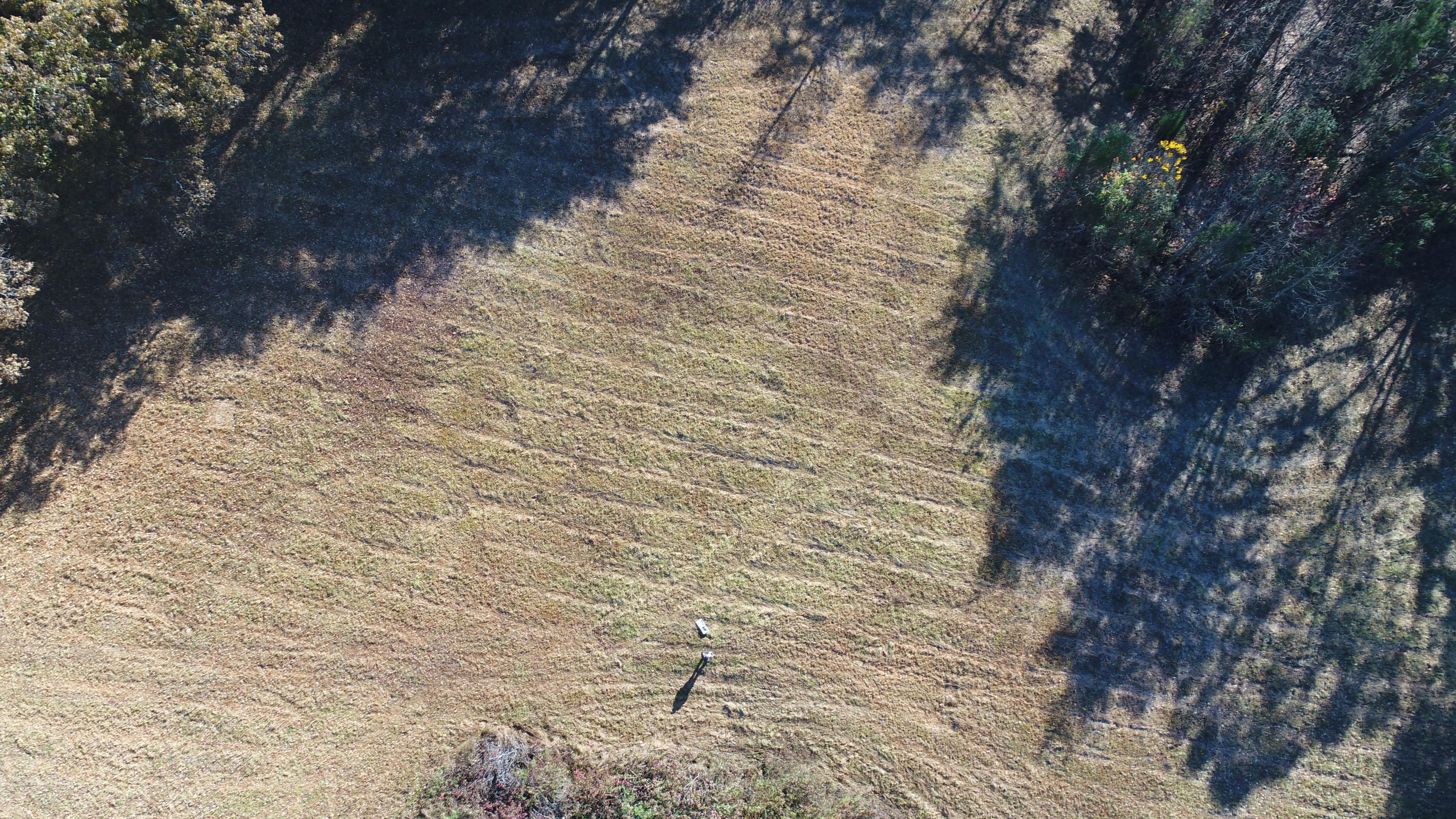 201 Goodhope Church Road Eubank, KY 42567 - Photo 1 of 28 DJI_0955