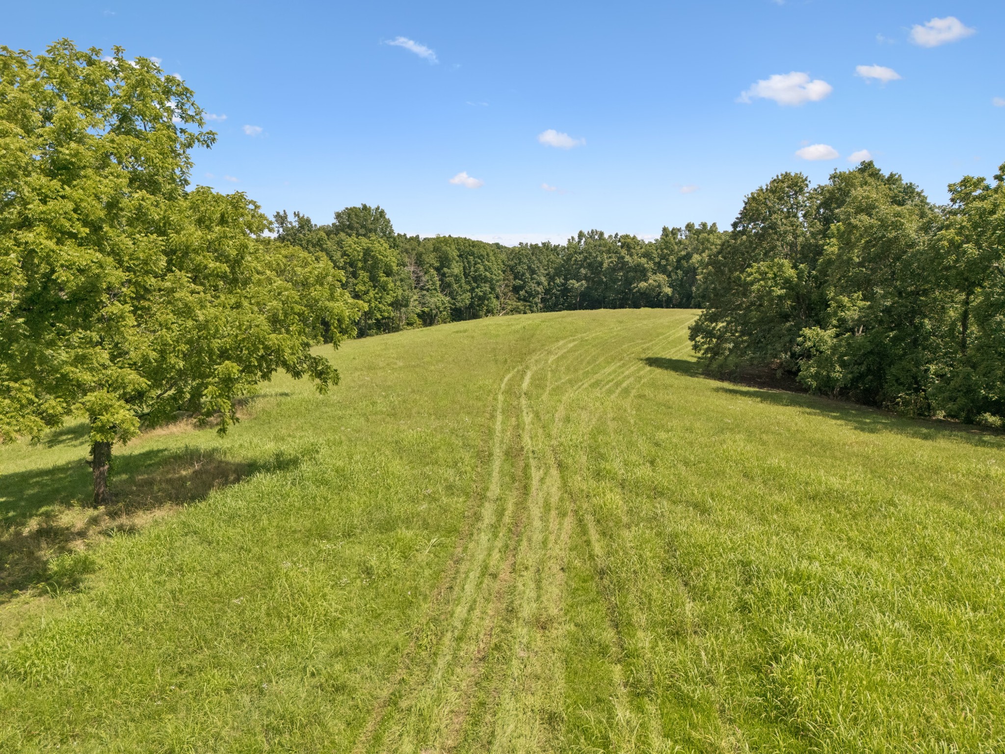 7700 Daugherty-Capley Road Bon Aqua, TN 37025 - Photo 1 of 15