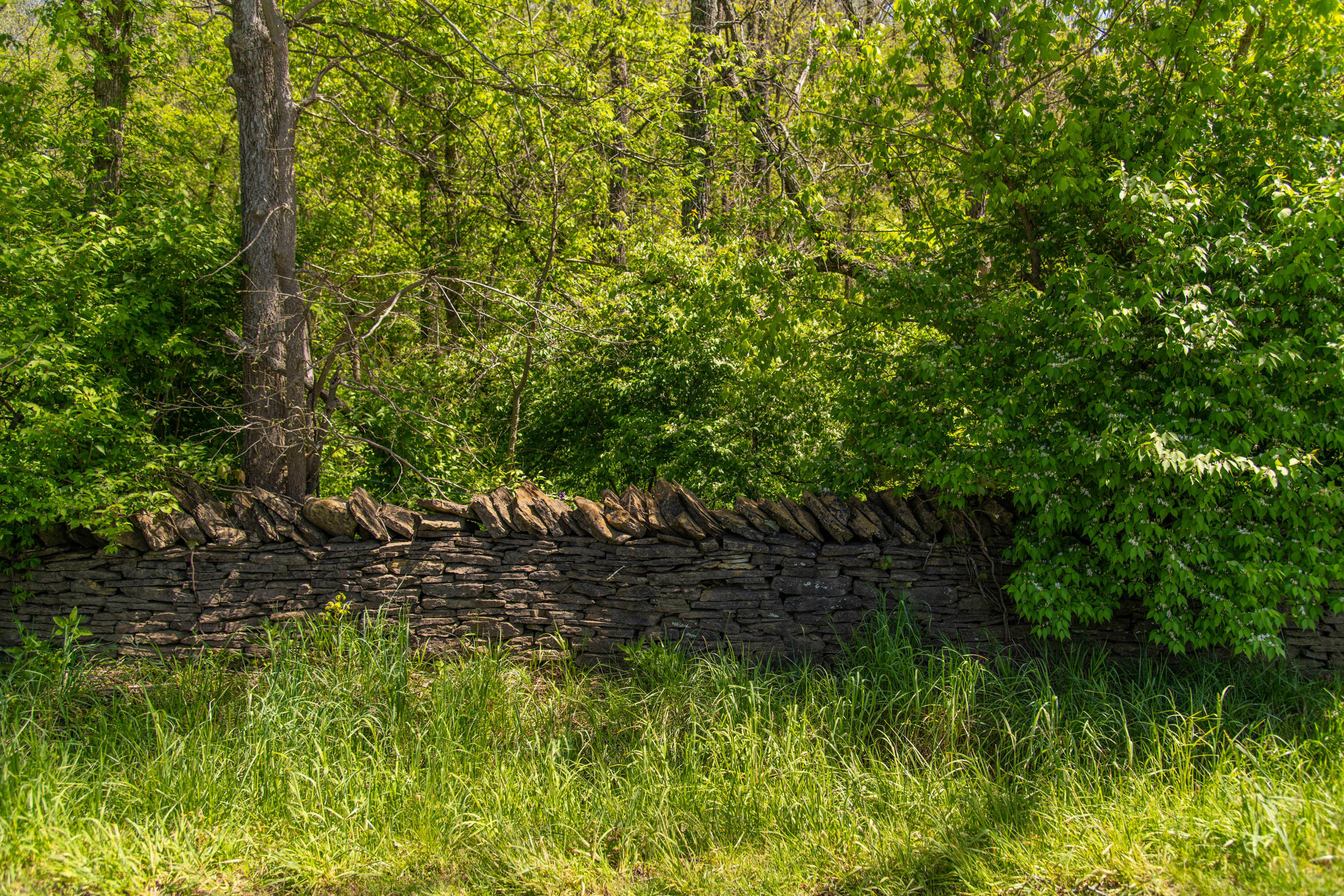 1270 Levy Road Paris, KY 40361 - Photo 9 of 9 10