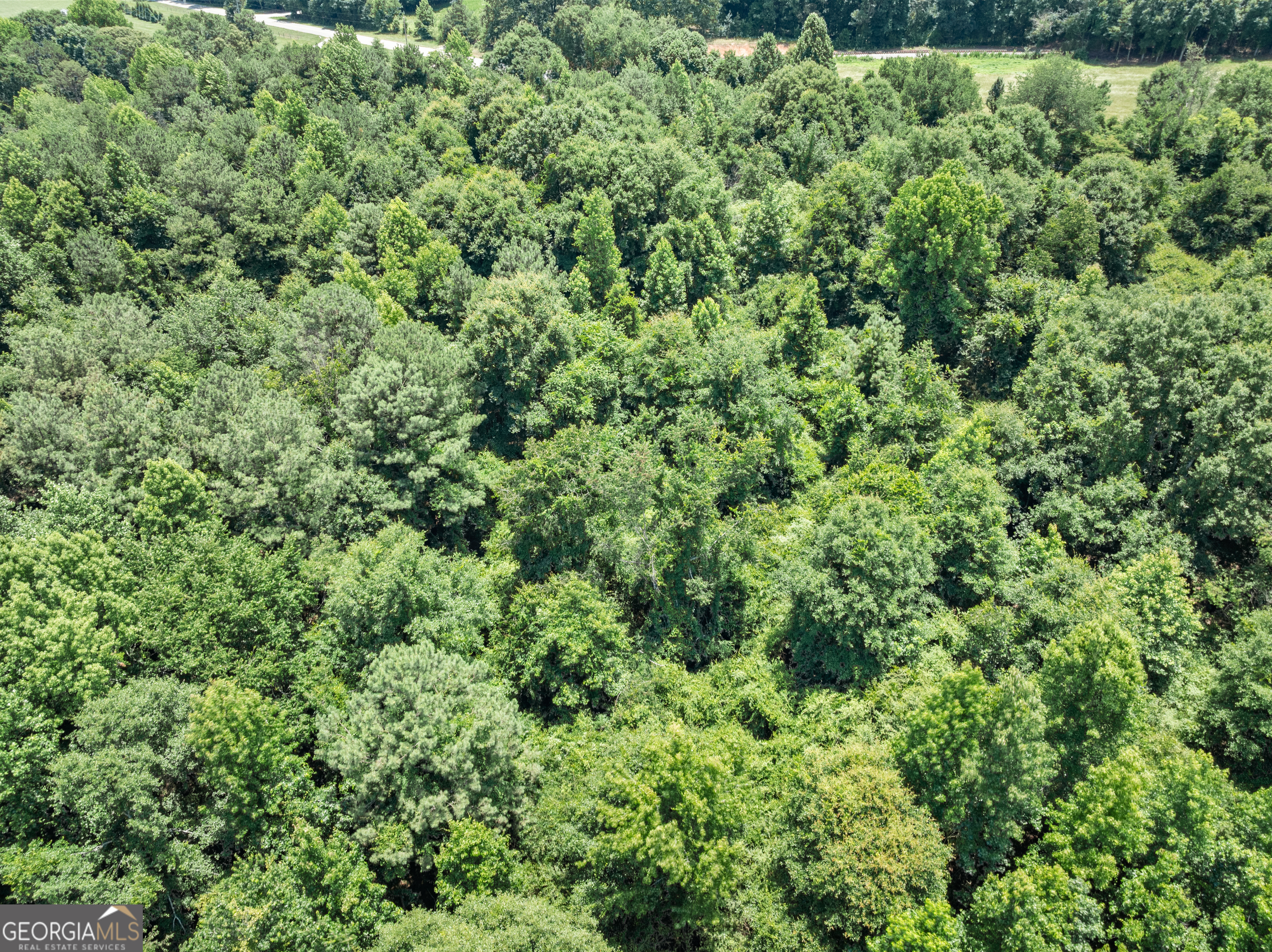 0 Mountain Creek Church Road Talmo, GA 30567 - Photo 23 of 25