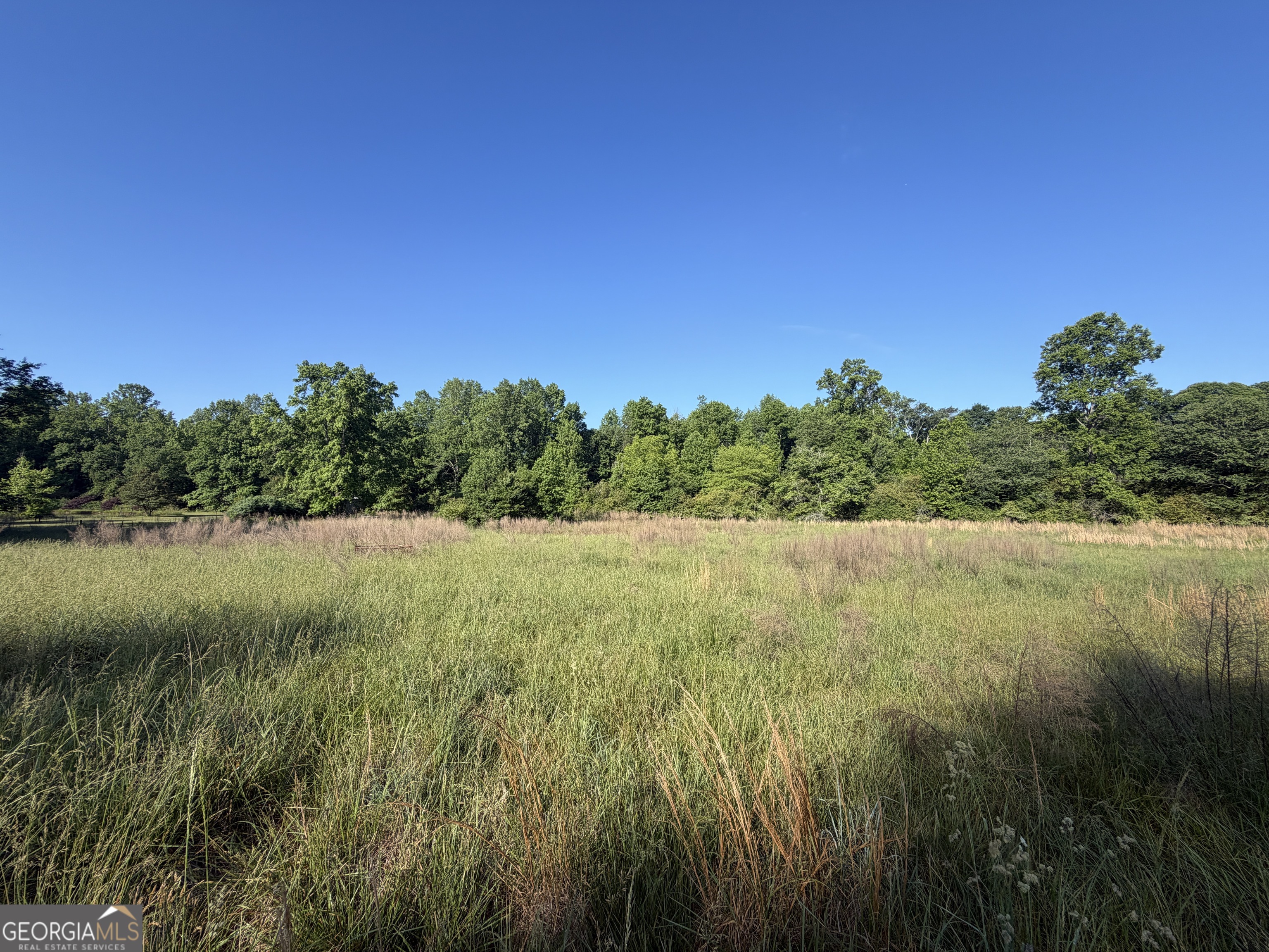 0 Jim Thomas Road Demorest, GA 30535 - Photo 20 of 33