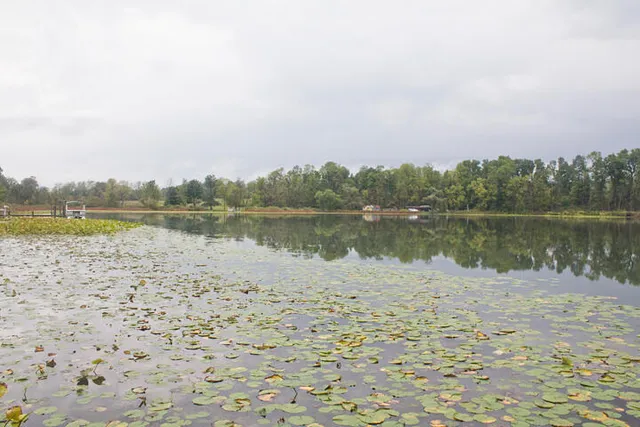 $100,000 | 10060 Highway 216, Marcellus, MI 49067