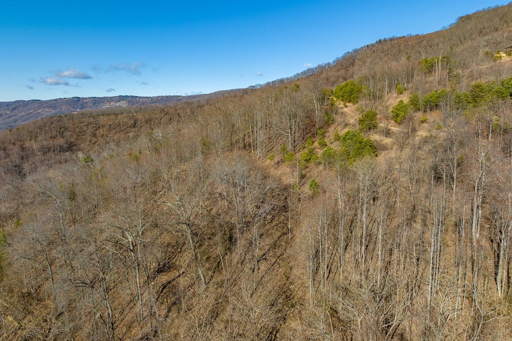 Lot 93 Reflections Point Trail, Unit 93 Fancy Gap, VA 24328 - Photo 36 of 92 Gallery Image 36