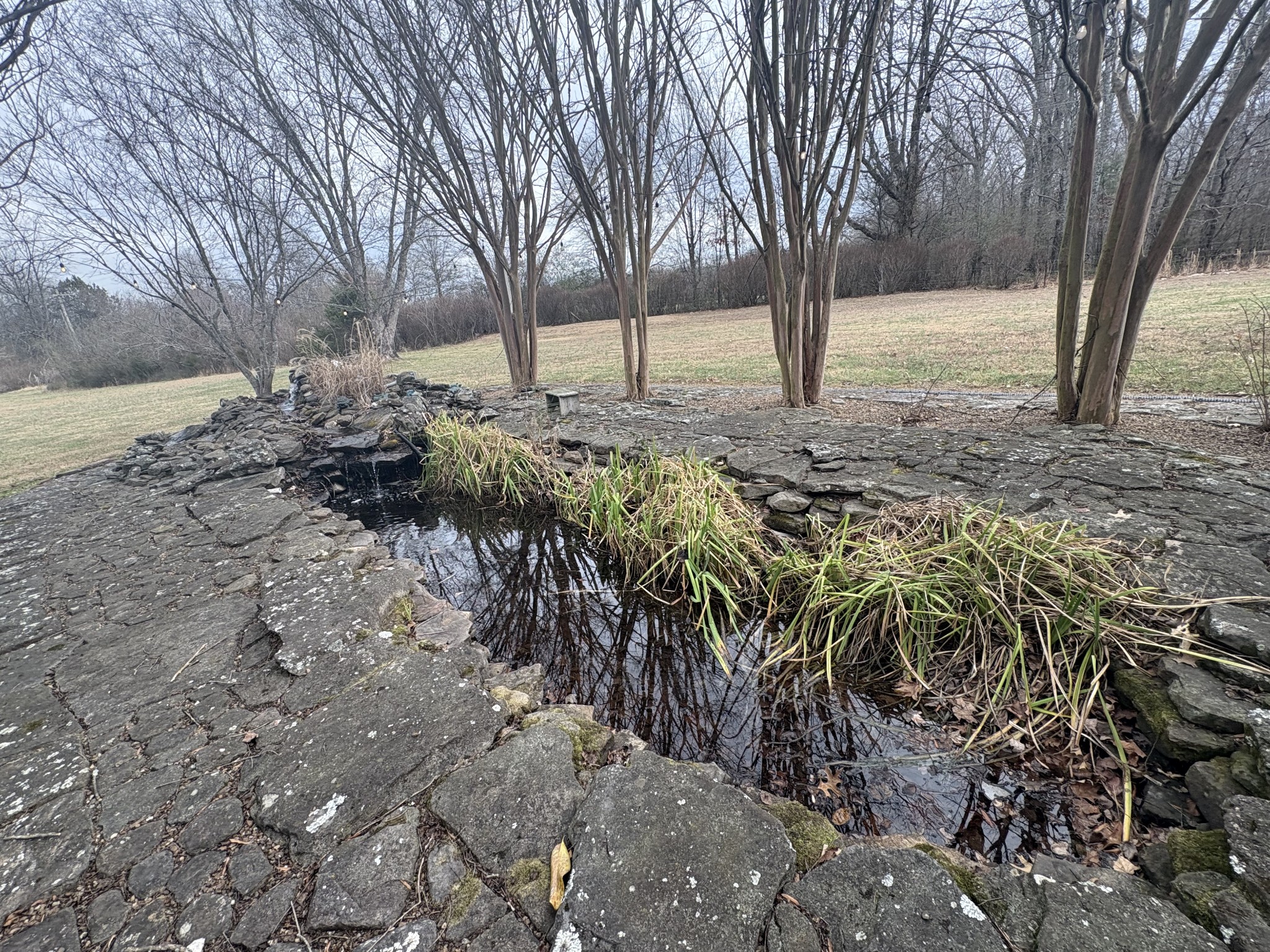 703 12 Oaks Road Tullahoma, TN 37388 - Photo 40 of 46 a view of covered with snow