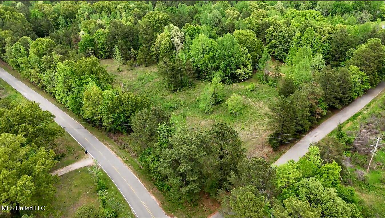 1015 Saulsbury Road Walnut, MS 38683 - Photo 16 of 23 iUI1W6_A