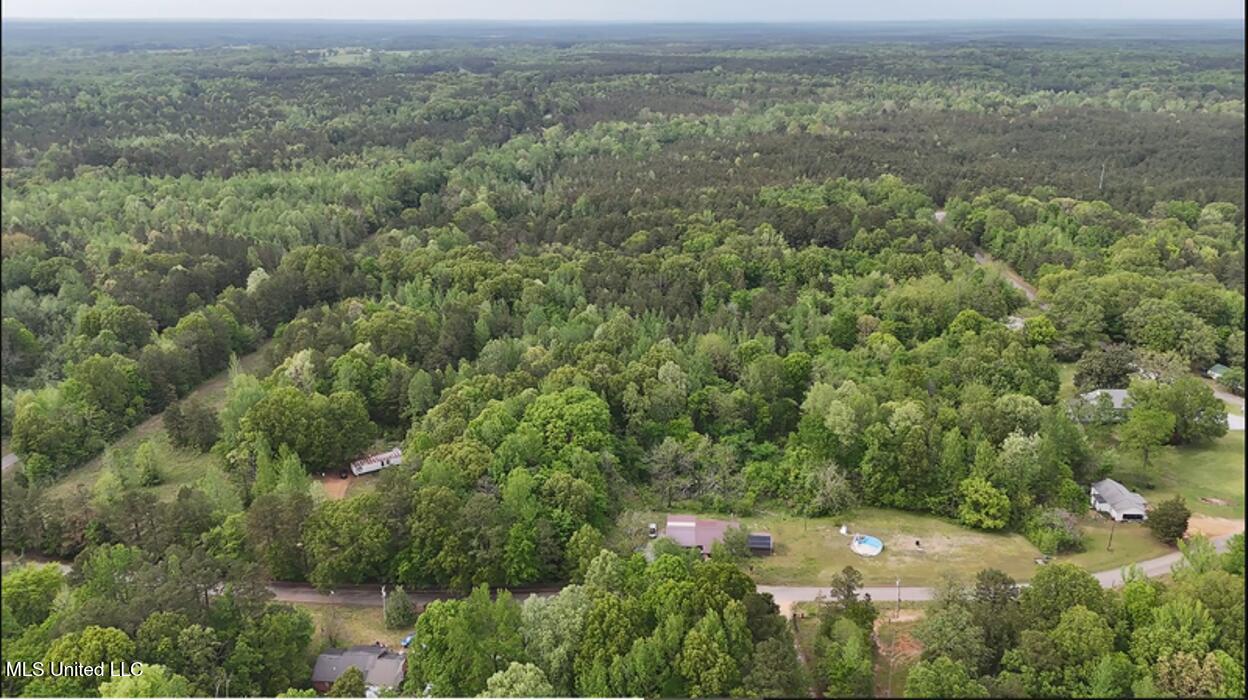 1015 Saulsbury Road Walnut, MS 38683 - Photo 21 of 23 nqpXly5A