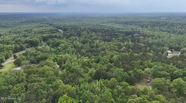 $35,550 | 1015 Saulsbury Road, Walnut, MS 38683