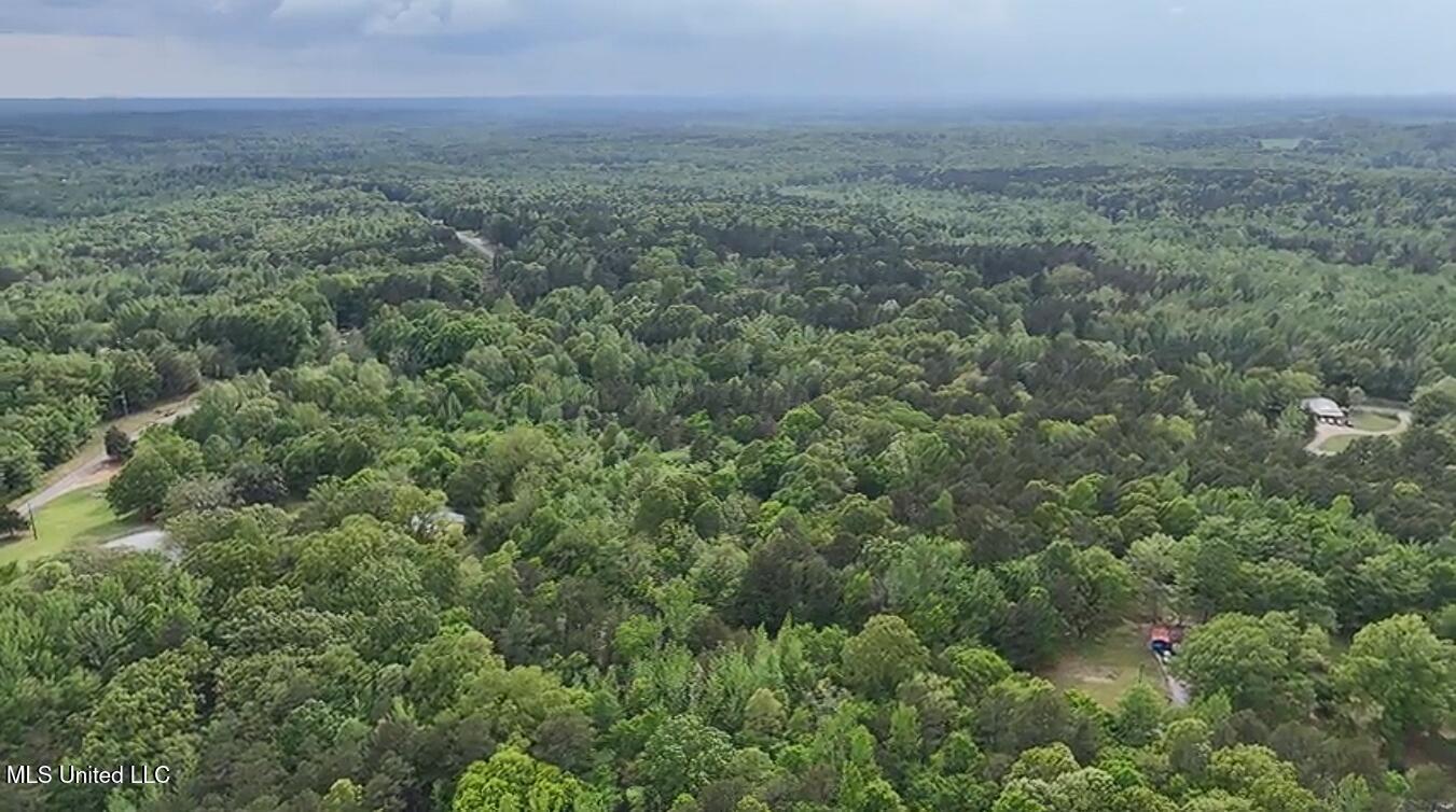 1015 Saulsbury Road Walnut, MS 38683 - Photo 22 of 23 ryaQ488Q (1)