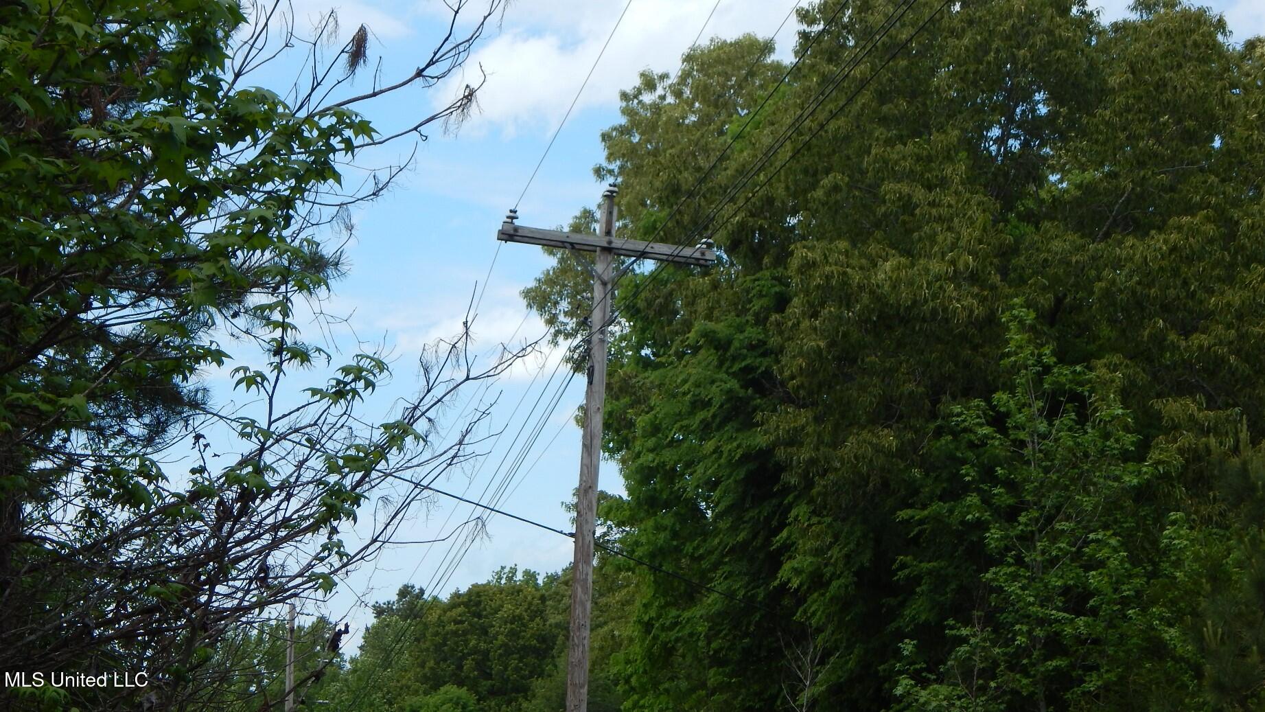 1015 Saulsbury Road Walnut, MS 38683 - Photo 5 of 23 DSCN6833