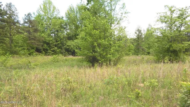 $35,550 | 1015 Saulsbury Road, Walnut, MS 38683