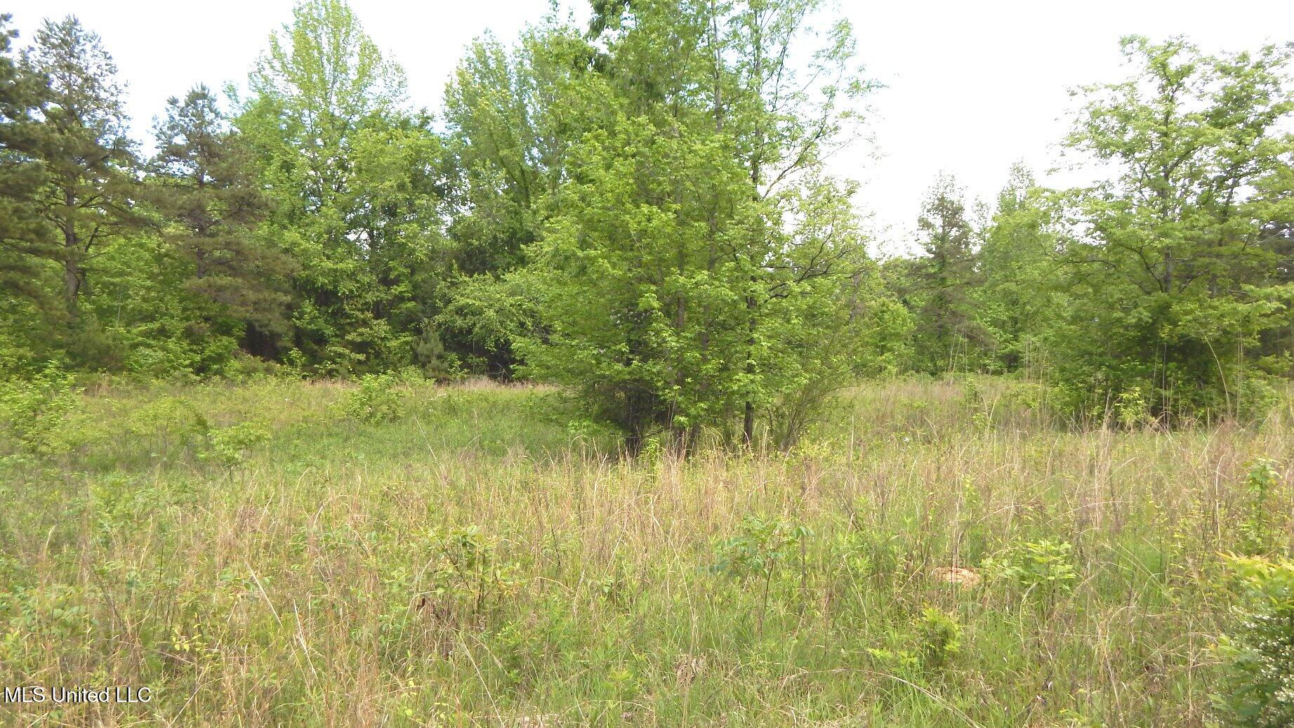 1015 Saulsbury Road Walnut, MS 38683 - Photo 6 of 23 DSCN6834