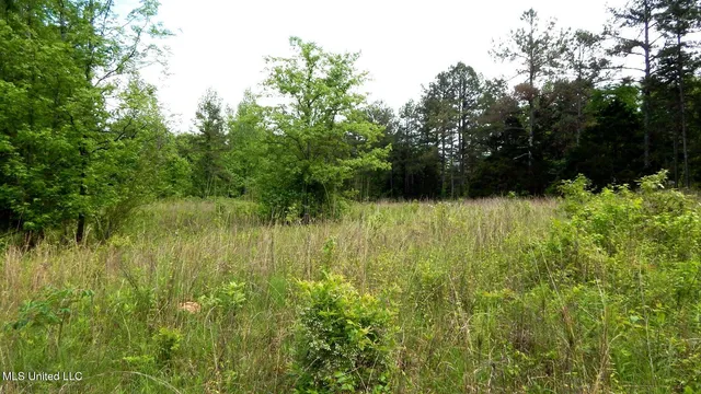 $35,550 | 1015 Saulsbury Road, Walnut, MS 38683